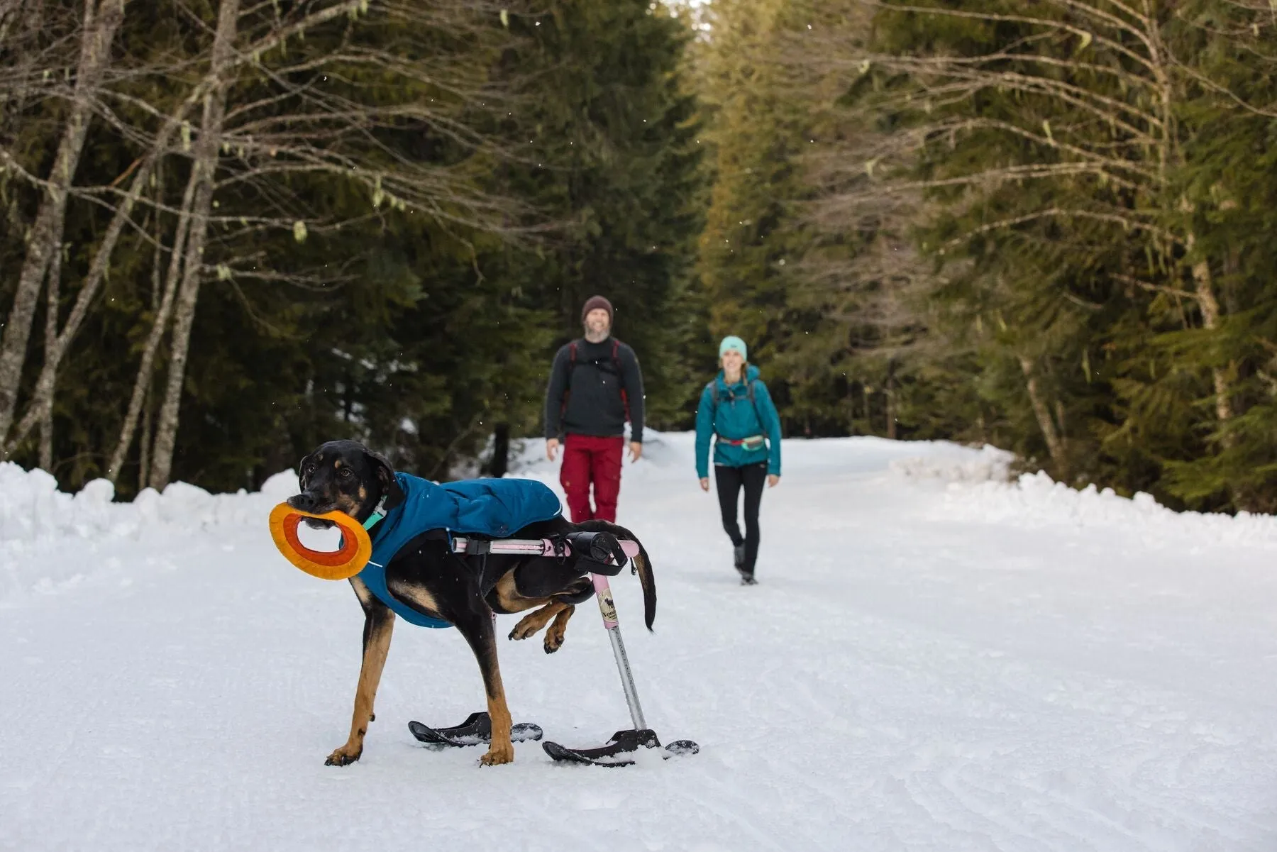 Ruffwear Quinzee Coat - Blue Moon XS (Customer Return)