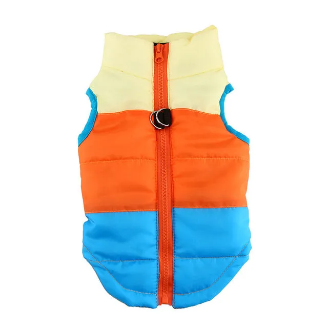 Warm Dog Clothes For Small Dog Windproof Winter