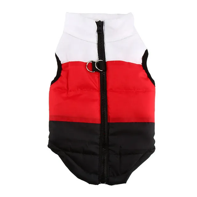 Warm Dog Clothes For Small Dog Windproof Winter
