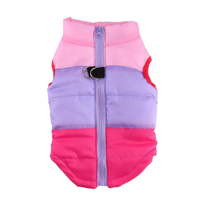 Warm Dog Clothes For Small Dog Windproof Winter